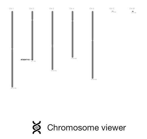 Chromosome viewer image