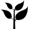 Plant eFP icon