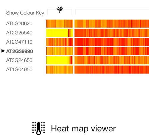 Heatmap image